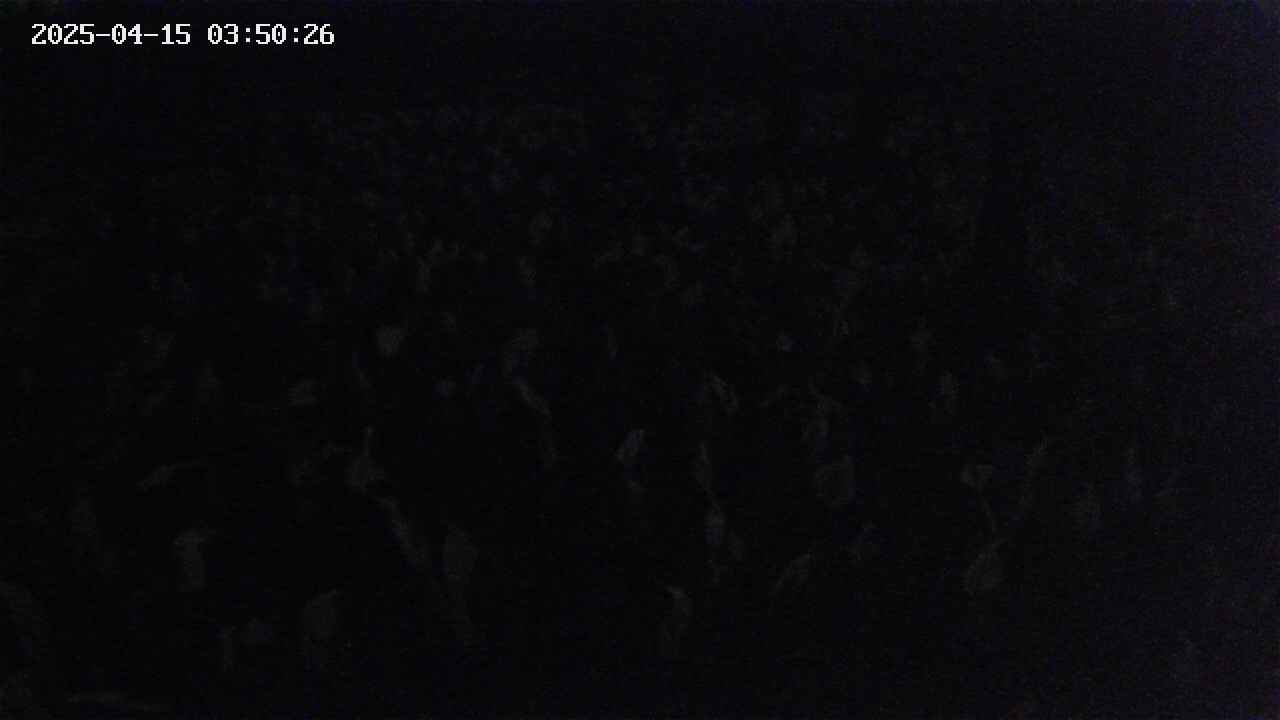mizubasho2-20250415035027.jpg