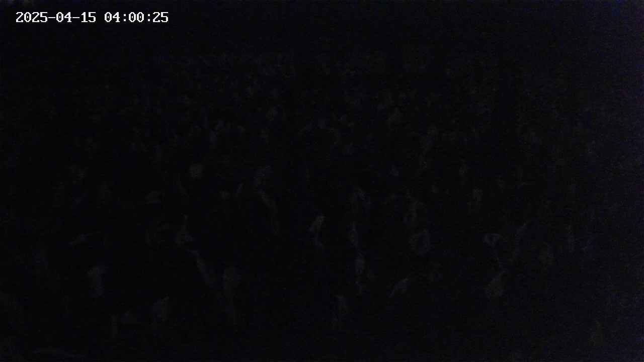 mizubasho2-20250415040026.jpg