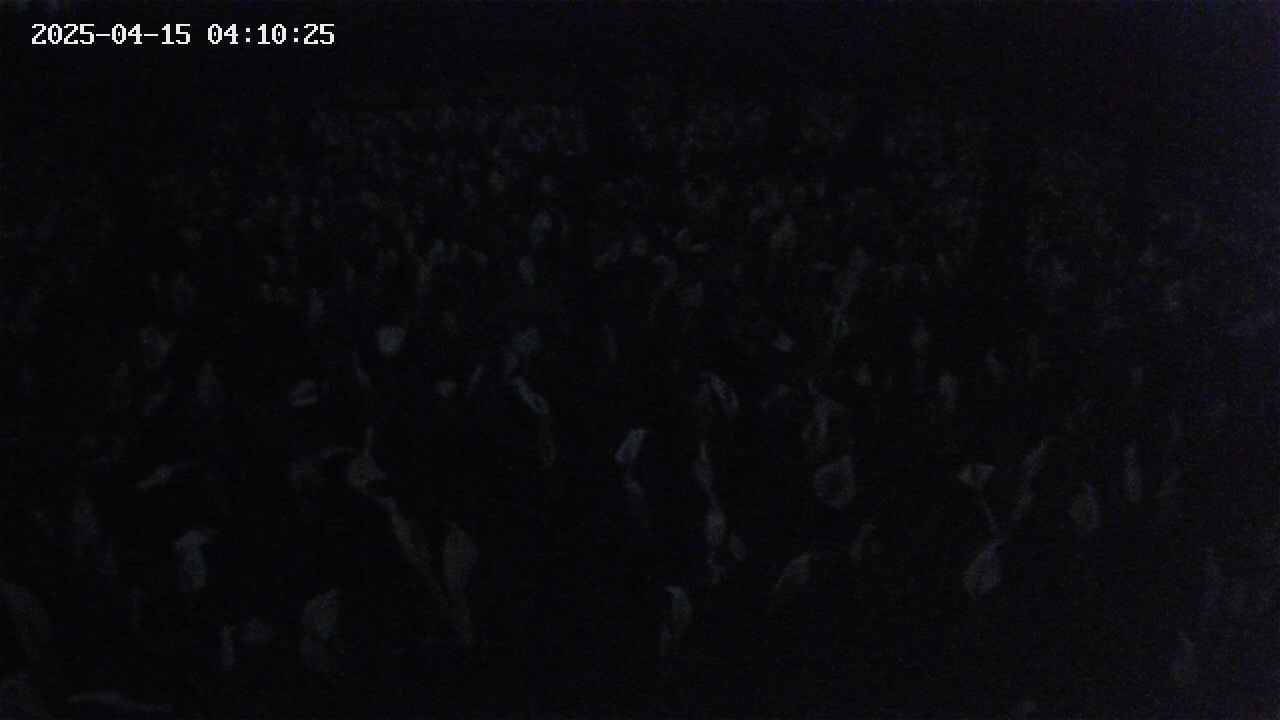 mizubasho2-20250415041026.jpg