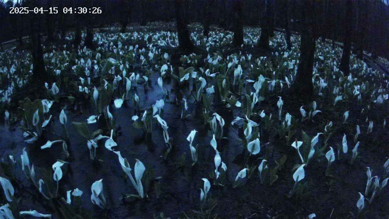 mizubasho2-20250415043027.jpg