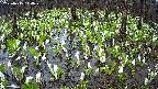 mizubasho2-20250415114030.jpg