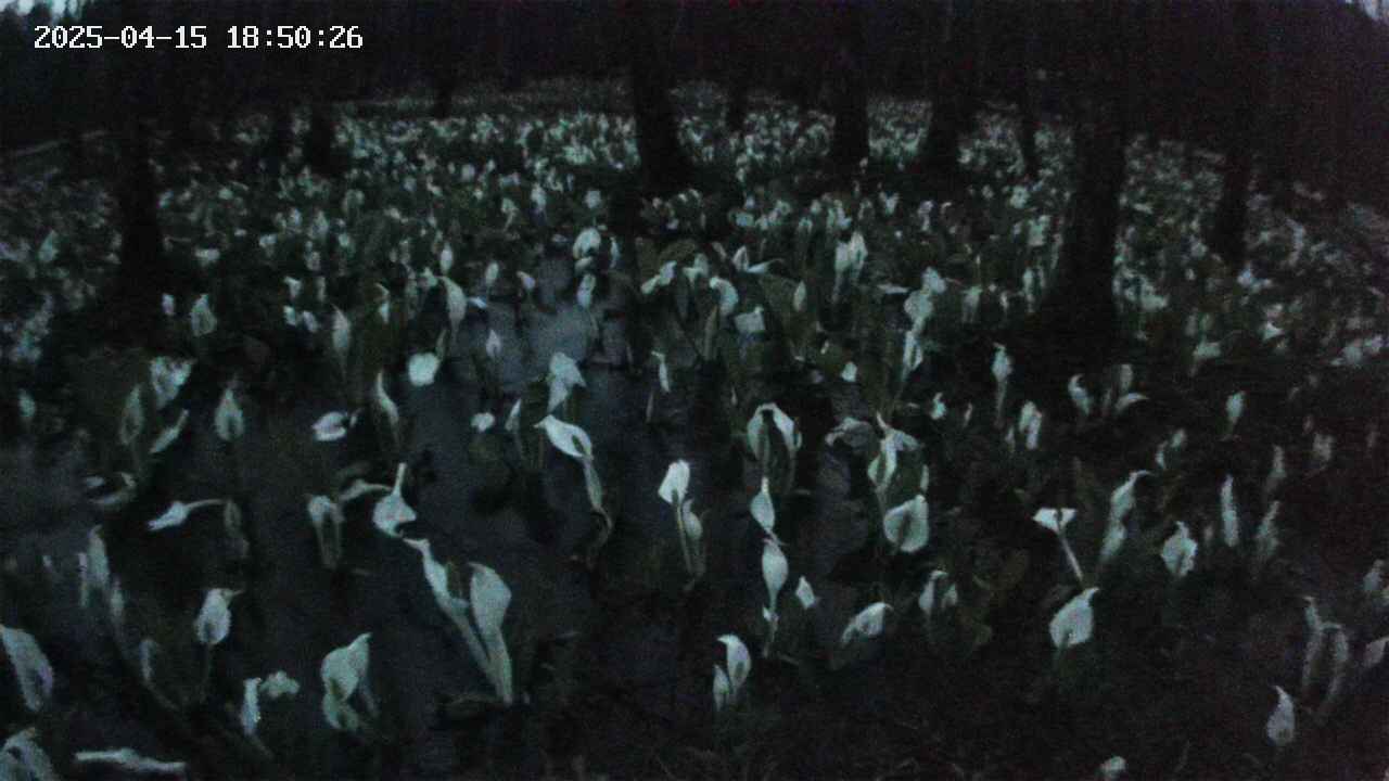 mizubasho2-20250415185027.jpg
