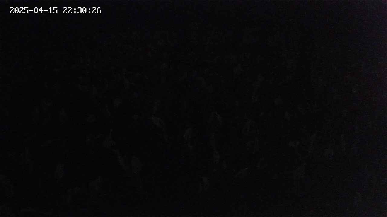 mizubasho2-20250415223026.jpg