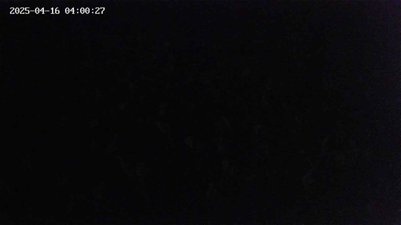 mizubasho2-20250416040027.jpg