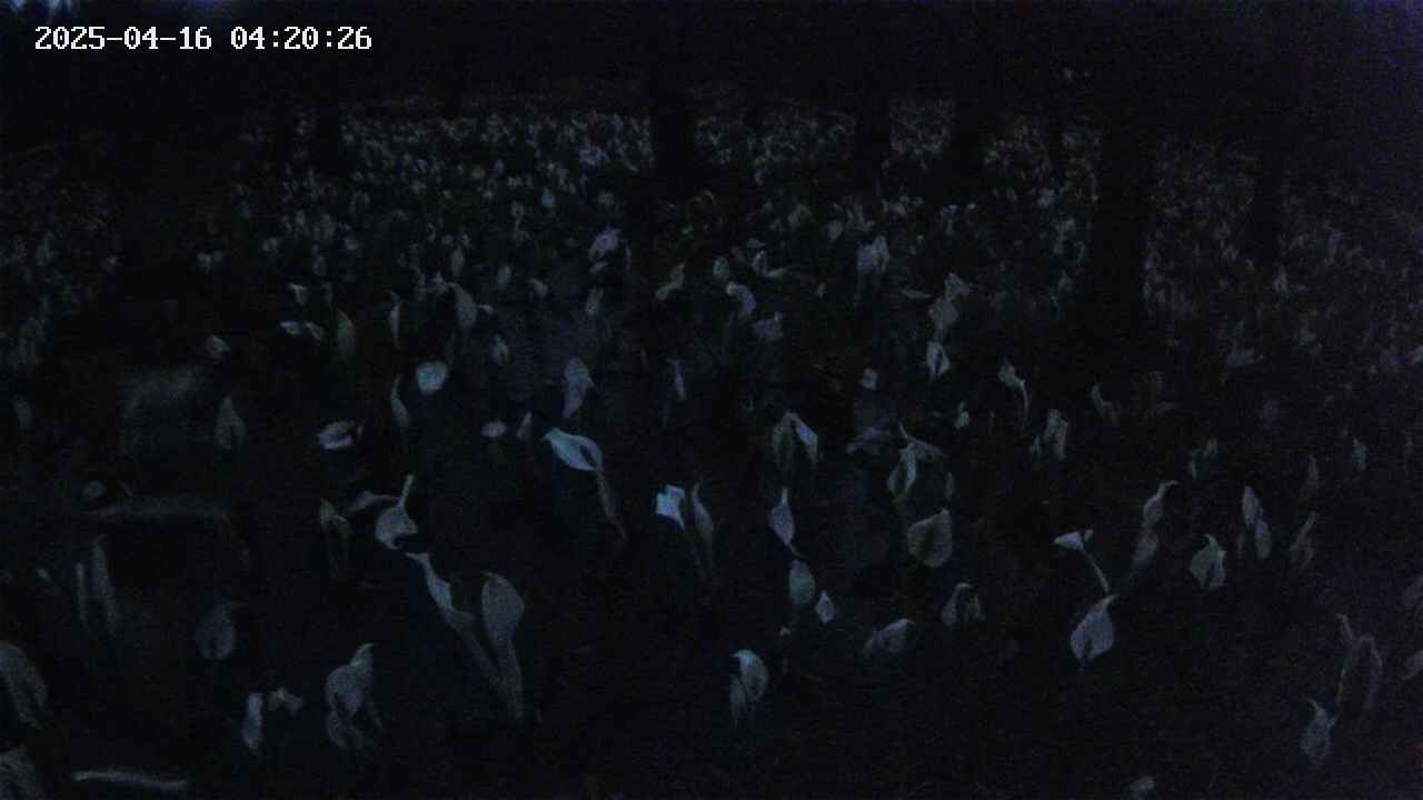 mizubasho2-20250416042027.jpg