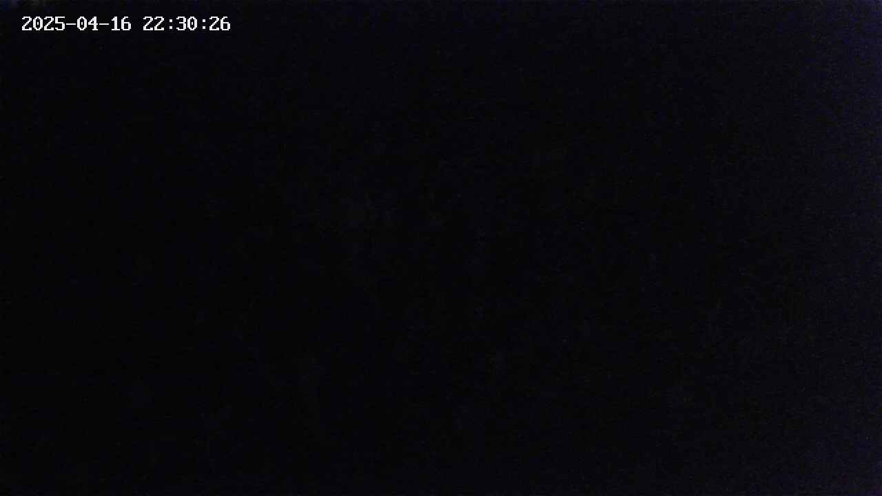mizubasho2-20250416223027.jpg