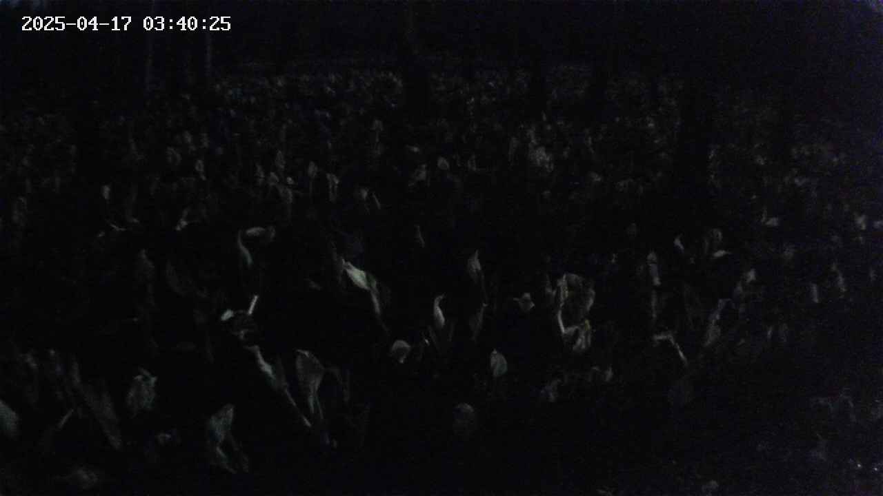 mizubasho2-20250417034025.jpg