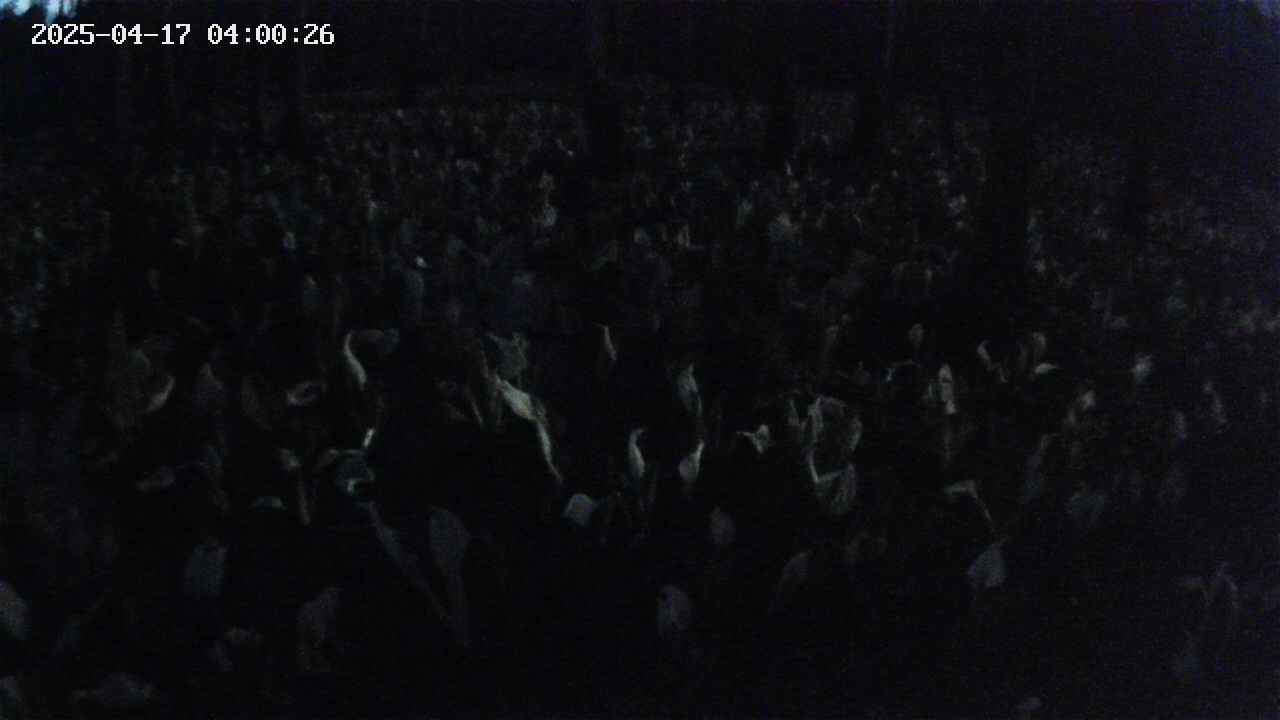 mizubasho2-20250417040027.jpg