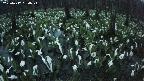 mizubasho2-20250417184026.jpg