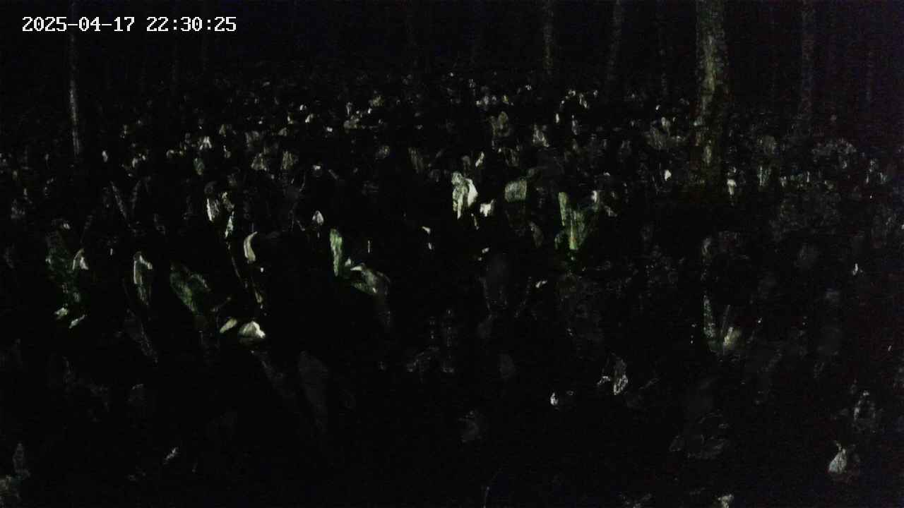 mizubasho2-20250417223026.jpg
