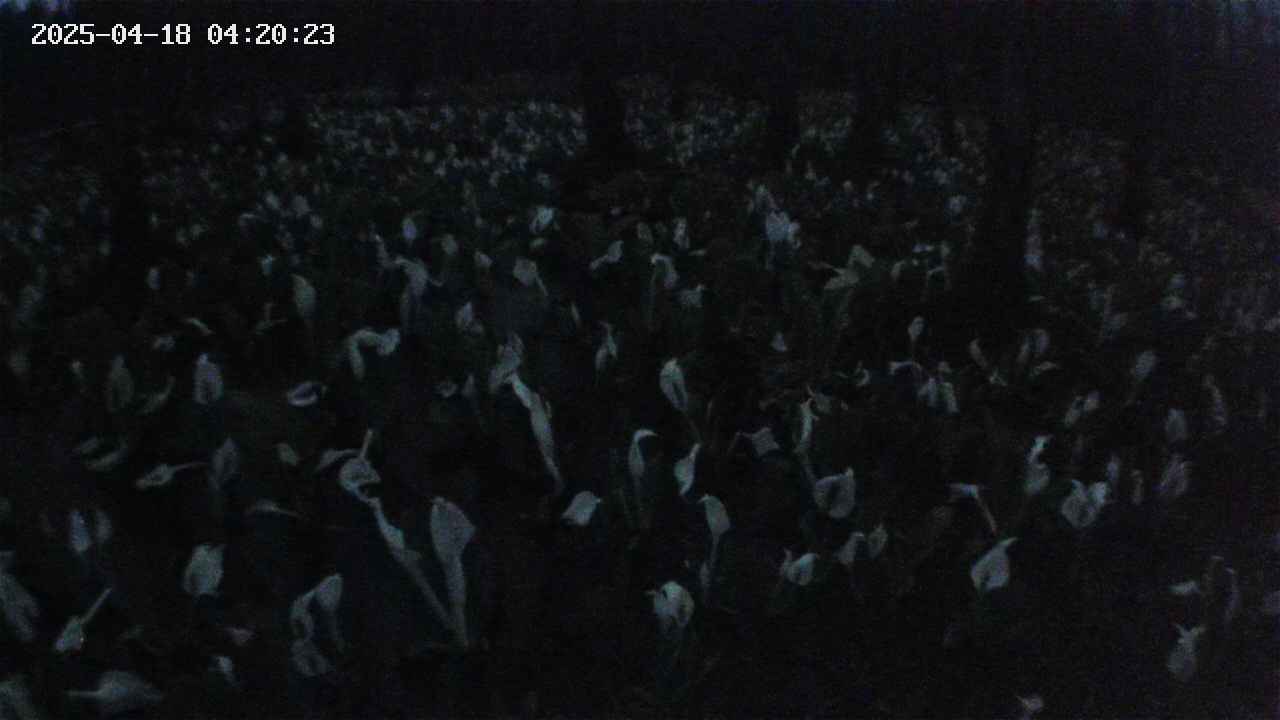 mizubasho2-20250418042025.jpg