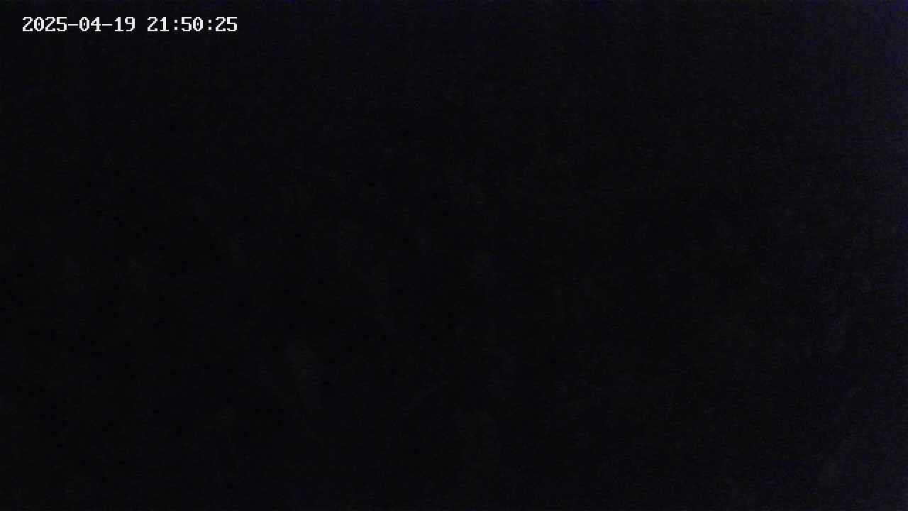 mizubasho2-20250419215026.jpg