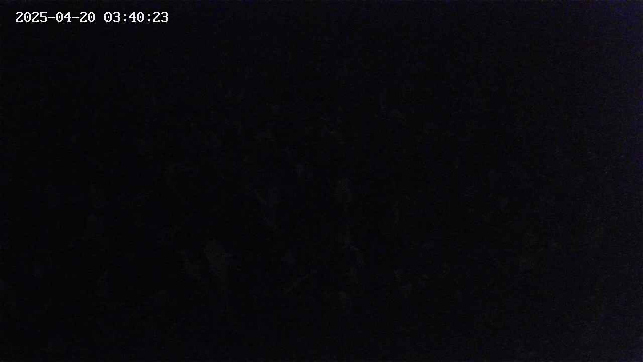 mizubasho2-20250420034024.jpg