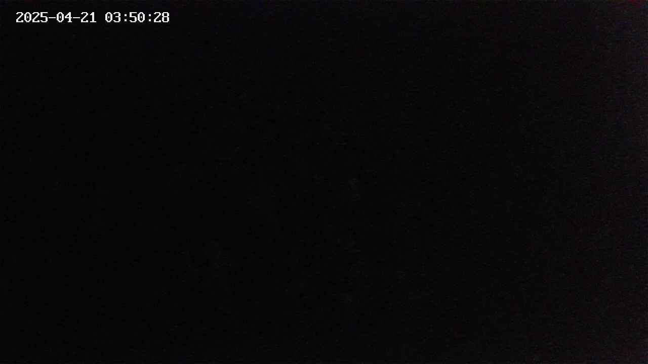 mizubasho2-20250421035029.jpg