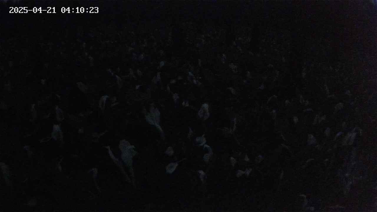 mizubasho2-20250421041025.jpg
