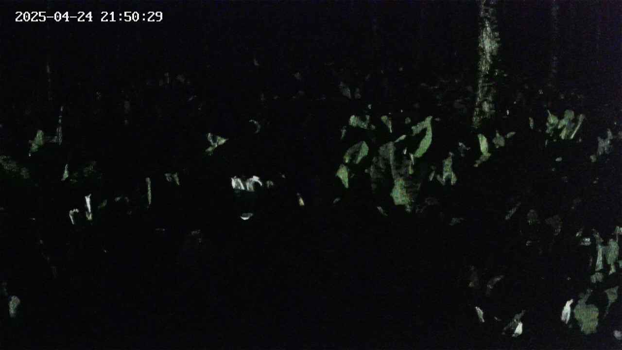 mizubasho2-20250424215031.jpg