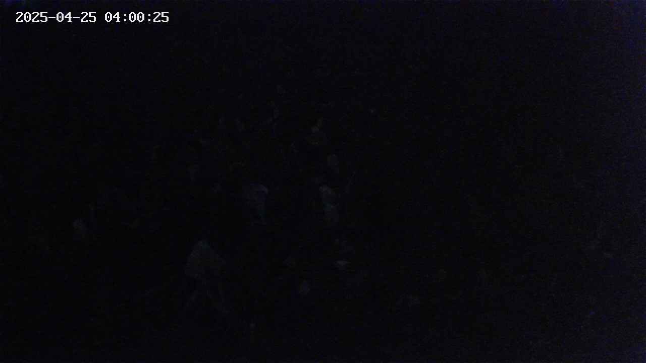 mizubasho2-20250425040026.jpg