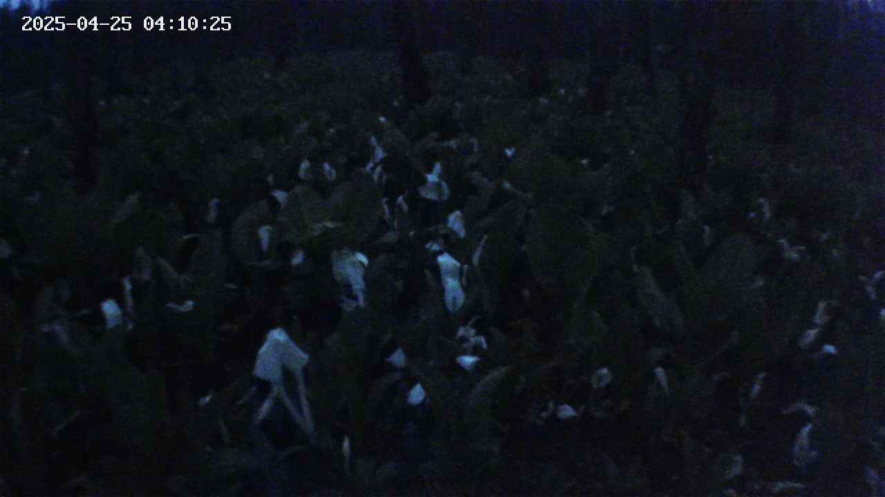 mizubasho2-20250425041026.jpg