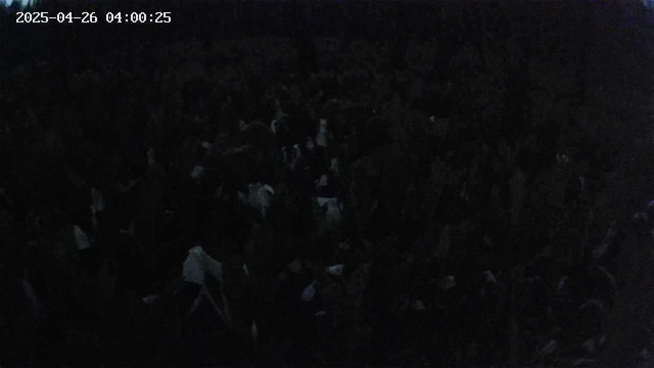 mizubasho2-20250426040025.jpg