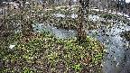 mizubasho3-20250403090039.jpg
