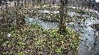 mizubasho3-20250403093043.jpg