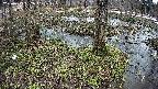 mizubasho3-20250403102043.jpg
