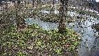 mizubasho3-20250403121044.jpg