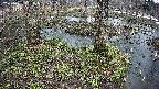 mizubasho3-20250403131047.jpg