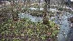 mizubasho3-20250403132046.jpg