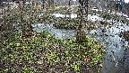 mizubasho3-20250403134047.jpg