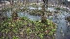 mizubasho3-20250403140045.jpg