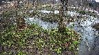 mizubasho3-20250403150042.jpg