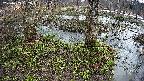 mizubasho3-20250403152042.jpg