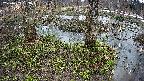 mizubasho3-20250403153043.jpg