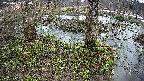 mizubasho3-20250403160042.jpg