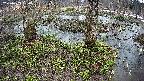 mizubasho3-20250403164041.jpg