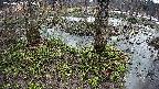 mizubasho3-20250403165044.jpg