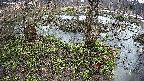 mizubasho3-20250403170044.jpg