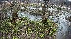 mizubasho3-20250403172043.jpg