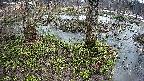 mizubasho3-20250403173043.jpg