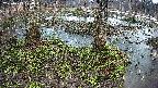 mizubasho3-20250403174043.jpg