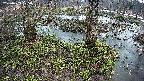 mizubasho3-20250403175043.jpg