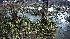 mizubasho3-20250403180045.jpg