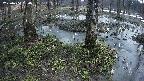 mizubasho3-20250404050040.jpg