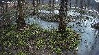 mizubasho3-20250404051041.jpg