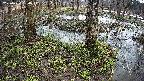 mizubasho3-20250404080043.jpg