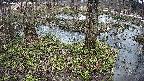 mizubasho3-20250404153044.jpg