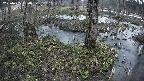 mizubasho3-20250405050039.jpg