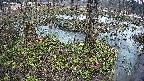 mizubasho3-20250405053044.jpg