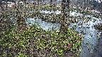 mizubasho3-20250405054040.jpg